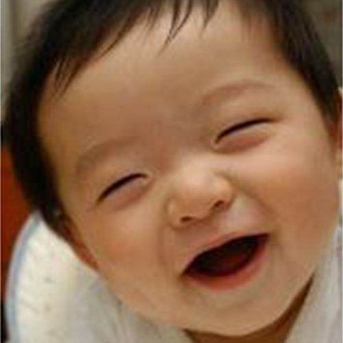 Size does Matter - สมองใหญ่เก่งกว่าสมองเล็ก??? 