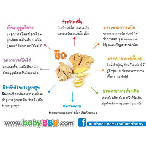 ขิง ดีกับแม่หลังคลอด